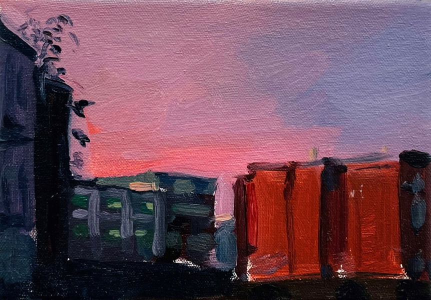 'Pink Skyline' by artist Thomas Cameron